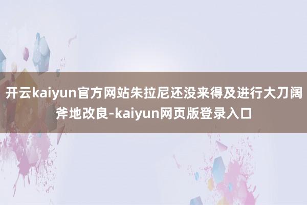 开云kaiyun官方网站朱拉尼还没来得及进行大刀阔斧地改良-kaiyun网页版登录入口